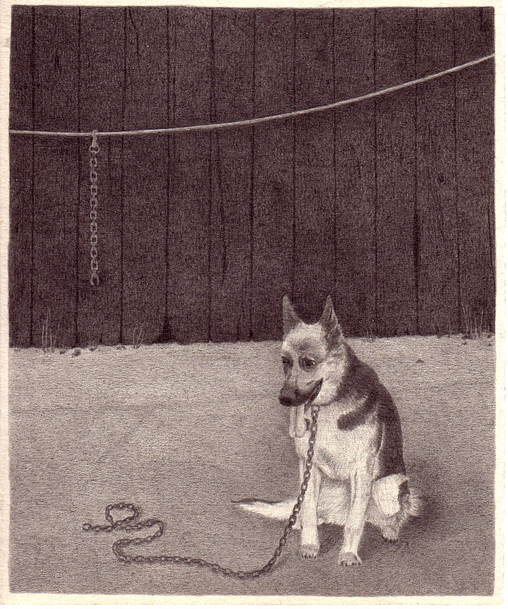 Patricia Huck, a.d. Reihe „Geschichten von Tragik und Zufall“, (Hund) Bleistift auf Papier, 2011 / sold